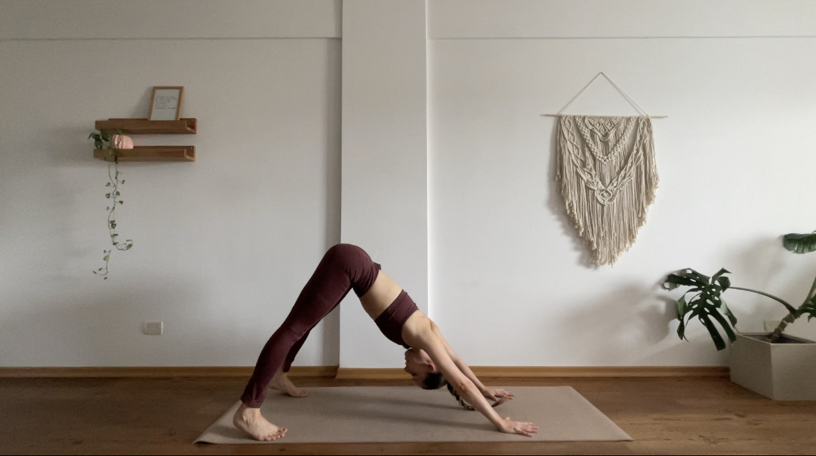 Pilates V | Prácticas progresivas