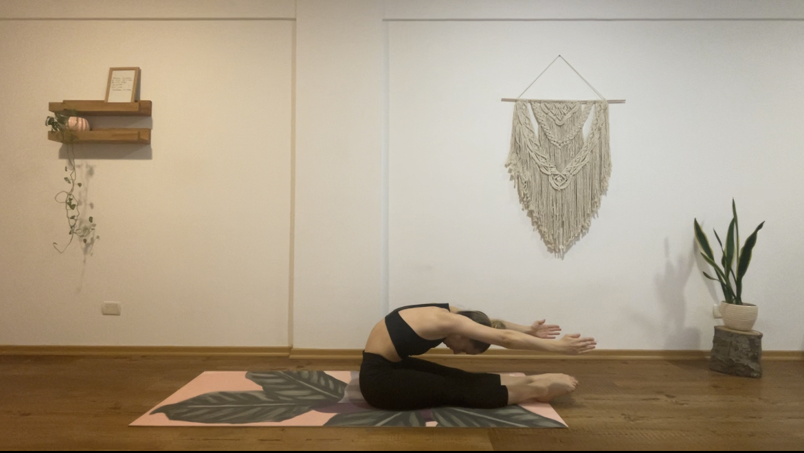 Pilates VIII | Prácticas progresivas